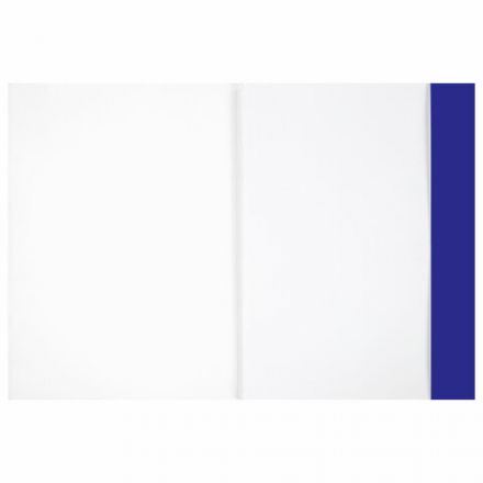 Бумага для рисования и графики в папке А4, 20 л., 200 г/м2, ВАТМАН ГОЗНАК, BRAUBERG ART CLASSIC, 114492