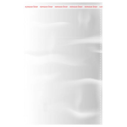 Пакеты БОПП с клеевым клапаном КОМПЛЕКТ 100 штук, 15х20 + 4 см, 25 мкм, с усиленным швом, BRAUBERG, 700406