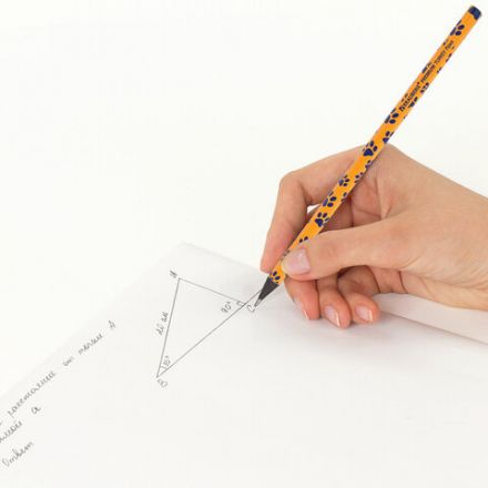 Карандаш чернографитный BRAUBERG "PREMIUM TURKEY", 1 шт., "Paws", НВ, ассорти, дисплей, 181566