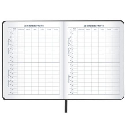 Дневник 1-11 класс 48л, кожзам (твердая), шелкография, BRAUBERG, "ЛЕВ ПОП-АРТ", 105991