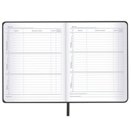 Дневник 1-11 класс 48л, кожзам (твердая), шелкография, BRAUBERG, "ЛЕВ ПОП-АРТ", 105991