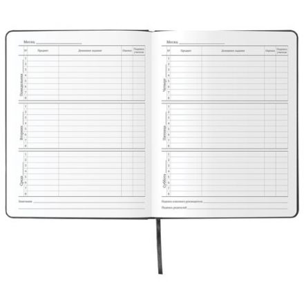 Дневник 1-11 класс 48л, кожзам (твердая), шелкография, BRAUBERG, "ЛЕВ ПОП-АРТ", 105991