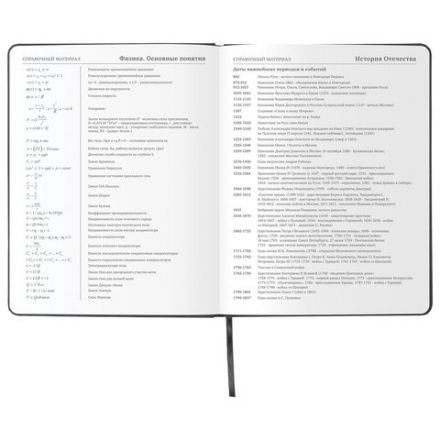 Дневник 1-11 класс 48л, кожзам (твердая), шелкография, BRAUBERG, "ЛЕВ ПОП-АРТ", 105991