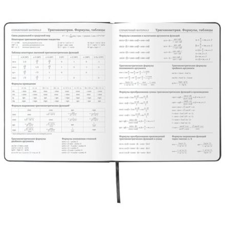 Дневник 1-11 класс 48л, кожзам (твердая), шелкография, BRAUBERG, "ЛЕВ ПОП-АРТ", 105991