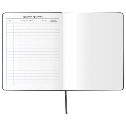 Дневник 1-11 класс 48л, кожзам (твердая), шелкография, BRAUBERG, "ЛЕВ ПОП-АРТ", 105991