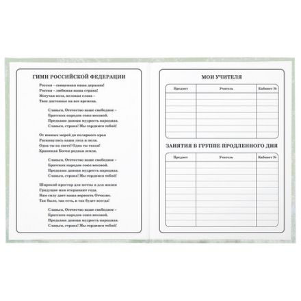 Дневник 1-4 класс 48 л., твердый, ЮНЛАНДИЯ, глянцевая ламинация, с подсказом, "Котик", 106825