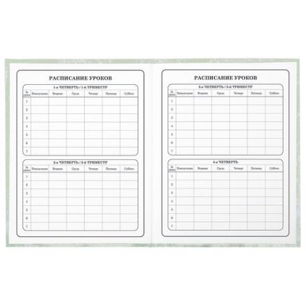 Дневник 1-4 класс 48 л., твердый, ЮНЛАНДИЯ, глянцевая ламинация, с подсказом, "Котик", 106825