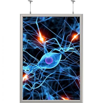 Панель световая Frame LED 2-стор тросы А1+ (624х871) раз.пл. 594х841