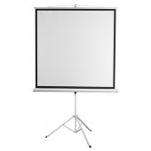 Экран Digis DSKD-1106 мобильный 1:1, 200х200 Экран Digis DSKD-1106 мобильный 1:1, 200х200