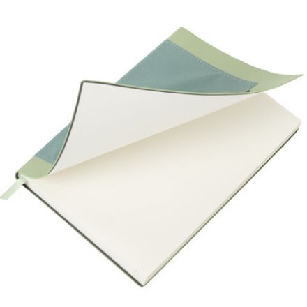 Ежедневник в наборе с ручкой А5, 144x210 мм, BRAUBERG "Style" под кожу, 160 листов, зелёный, 116863