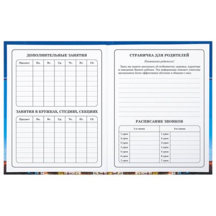 Дневник 1-4 класс 48 л., твердый, BRAUBERG, глянцевая ламинация, с подсказом, "Российский", 106832