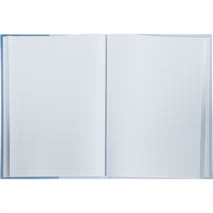 Книга учета бухгалтерская Attache офсет А4 96 листов в клетку на сшивке (обложка - ламинированный картон)