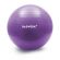 Мяч гимнастический (фитбол) 65 см с эффектом "антивзрыв", с ручным насосом, фиолетовый, DASWERK (ДАСВЕРК), 680017