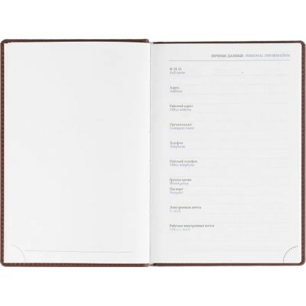 Ежедневник датированный 2026, бордо,А5, 148х218 мм,352 стр,АТТАСНЕ Вива