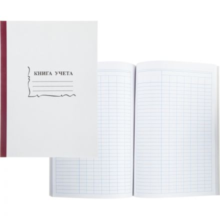 Книга учета бухгалтерская офсет А4 96 листов пустографка на скрепке (обложка - картон) Книга учета бухгалтерская офсет А4 96 листов пустографка на скрепке (обложка - картон)