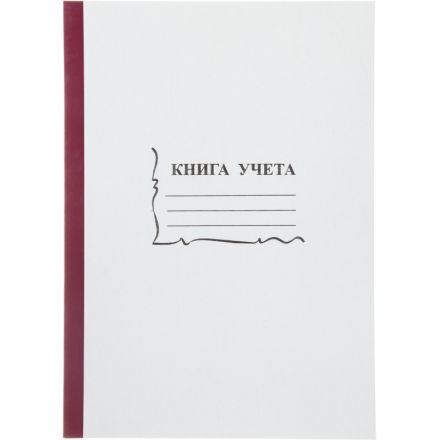 Книга учета бухгалтерская офсет А4 96 листов пустографка на скрепке (обложка - картон) Книга учета бухгалтерская офсет А4 96 листов пустографка на скрепке (обложка - картон)