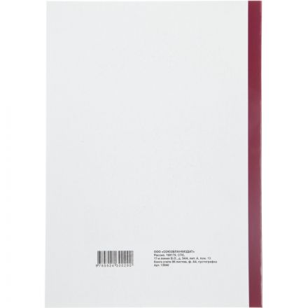 Книга учета бухгалтерская офсет А4 96 листов пустографка на скрепке (обложка - картон) Книга учета бухгалтерская офсет А4 96 листов пустографка на скрепке (обложка - картон)