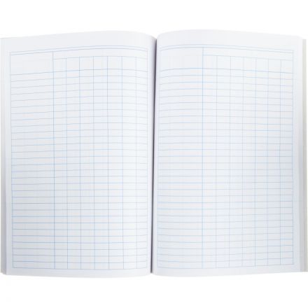 Книга учета бухгалтерская офсет А4 96 листов пустографка на скрепке (обложка - картон) Книга учета бухгалтерская офсет А4 96 листов пустографка на скрепке (обложка - картон)