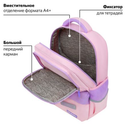 Рюкзак BRAUBERG STAR, 1 отделение, 5 карманов, "Capybara", розовый, 40x29x13 см, 272062