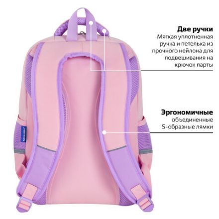 Рюкзак BRAUBERG STAR, 1 отделение, 5 карманов, "Capybara", розовый, 40x29x13 см, 272062