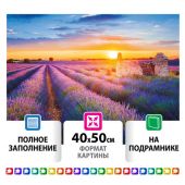 Картина стразами (алмазная мозаика) 40х50 см, ОСТРОВ СОКРОВИЩ "Лавандовое поле", на подрамнике, 662426