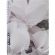 Тетрадь общая, BS, А5, 80л., точка, спираль. Botanica, цикламен N4191