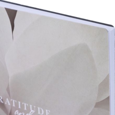 Тетрадь общая, BS, А5, 80л., точка, спираль. Botanica, цикламен N4191