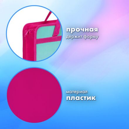 Папка на молнии с ручками BRAUBERG А4, 1 отделение, пластик, 80 мм, "Anime city", 271468