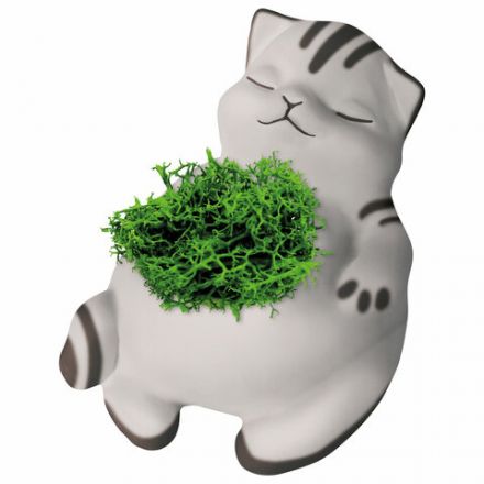 КАШПО ИЗ ГИПСА СО МХОМ, с красками и кистью для росписи, ассорти, BRAUBERG KIDS, 666012