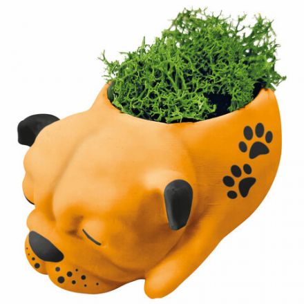 КАШПО ИЗ ГИПСА СО МХОМ, с красками и кистью для росписи, ассорти, BRAUBERG KIDS, 666012