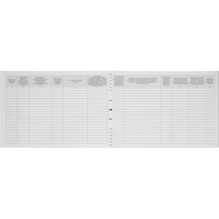 Журнал учета проверок юридических лиц и ИП (А4, 50 листов)