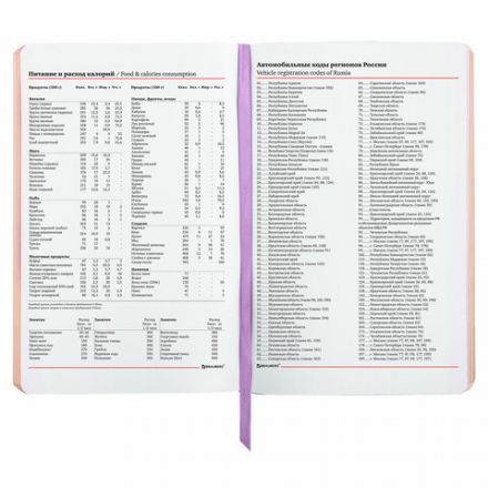 Ежедневник недатированный А5 (138х213 мм), BRAUBERG VISTA, под кожу, гибкий, 136 л., "Paradise", 112017