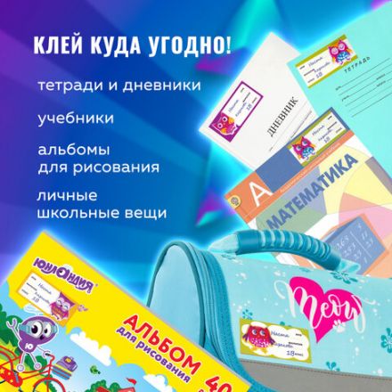Наклейки для маркировки школьных принадлежностей "Совы", 12 штук, 14х21 см, ЮНЛАНДИЯ, 662710 Наклейки для маркировки школьных принадлежностей "Совы", 12 штук, 14х21 см, ЮНЛАНДИЯ, 662710