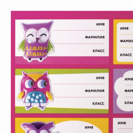 Наклейки для маркировки школьных принадлежностей "Совы", 12 штук, 14х21 см, ЮНЛАНДИЯ, 662710 Наклейки для маркировки школьных принадлежностей "Совы", 12 штук, 14х21 см, ЮНЛАНДИЯ, 662710