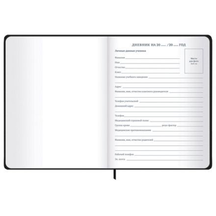 Дневник 1-11 класс 48 л., твердый, BRAUBERG, матовая ламинация, резинка, закладка-ляссе, с подсказом, "Дракон", 107240