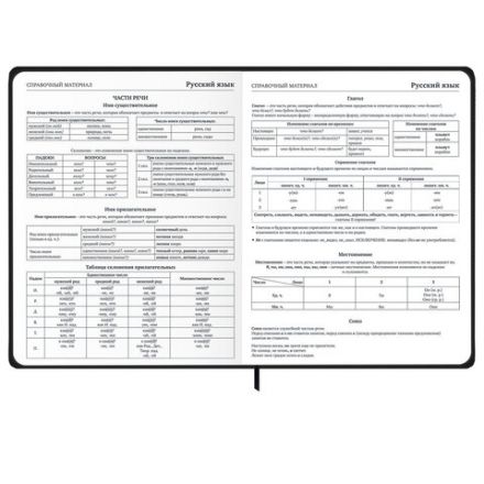 Дневник 1-11 класс 48 л., твердый, BRAUBERG, матовая ламинация, резинка, закладка-ляссе, с подсказом, "Дракон", 107240