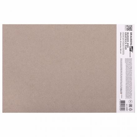 Альбом для графики и маркеров, "БРИСТОЛЬ" 200 г/м2, 190х270 мм, 30 листов, склейка, BRAUBERG ART PREMIERE, 115097