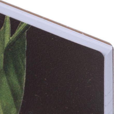 Тетрадь общая, BS, А5, 80л., клетка, спираль. Flora, инжир N4184