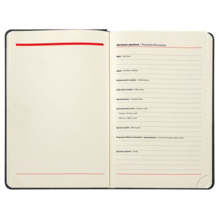 Ежедневник недатированный А5 138х213 мм BRAUBERG "Status" под кожу, 160 л., черный, 113361