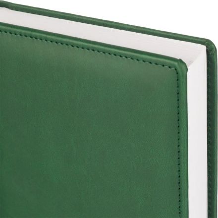 Ежедневник датированный 2026, зеленый,А5, 148х218 мм,352 стр,АТТАСНЕ Вива