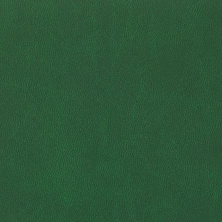 Ежедневник датированный 2026, зеленый,А5, 148х218 мм,352 стр,АТТАСНЕ Вива