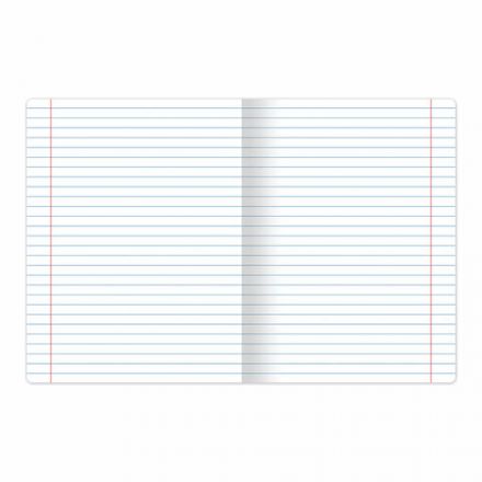 Тетрадь 24 л. BRAUBERG КЛАССИКА NEW линия, обложка картон, АССОРТИ (5 видов), 105704