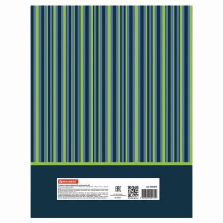 Тетрадь на кольцах БОЛЬШАЯ А4 (225х300 мм), 100 листов, твердый картон, клетка, BRAUBERG, Полосы, 403273