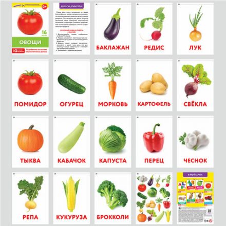 Карточки Домана, 8 развивающих брошюр по методике ГЛЕННА ДОМАНА, 145 изображений, ЮНЛАНДИЯ, 691022