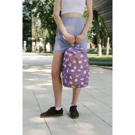 Рюкзак HEIKKI DREAM (ХЕЙКИ) универсальный, с карманом для ноутбука, эргономичный, "Hamster", 42х26х14 см, 273850