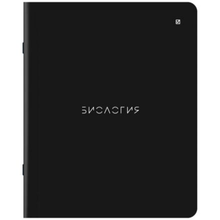 Тетради предметные, КОМПЛЕКТ 12 ПРЕДМЕТОВ, 48 л., матовая ламинация, BRAUBERG, "MINIMAL", 404831