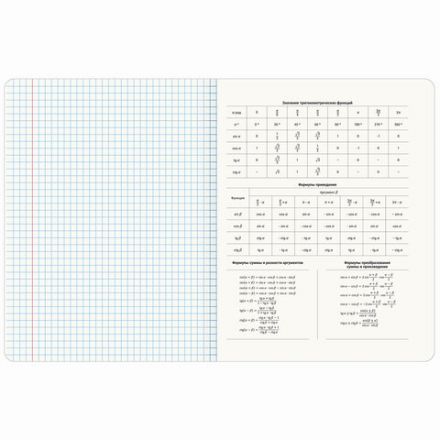 Тетради предметные, КОМПЛЕКТ 12 ПРЕДМЕТОВ, 48 л., матовая ламинация, BRAUBERG, "MINIMAL", 404831