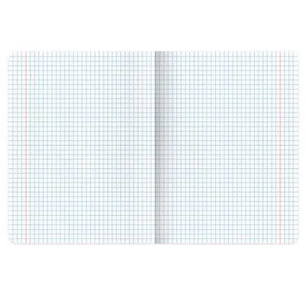 Тетради предметные, КОМПЛЕКТ 12 ПРЕДМЕТОВ, 48 л., матовая ламинация, BRAUBERG, "MINIMAL", 404831