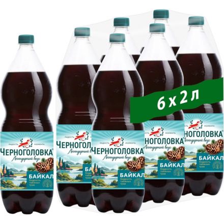 Напиток Черноголовка Байкал ПЭТ, 2л