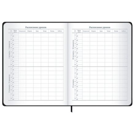 Дневник 1-11 класс 48 л., твердый, BRAUBERG, матовая ламинация, резинка, закладка-ляссе, с подсказом, "Элементы", 107242